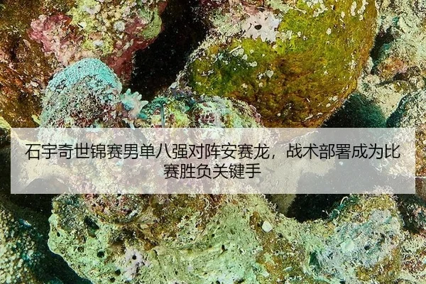 shi-yu-qi-shi-jin-sai-nan-dan-ba-qiang-dui-zhen-an-sai-long-zhan-shu-bu-shu-cheng-wei-bi-sai-sheng-fu-guan-jian-shou-2-250.jpg